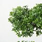 Boltze kunsttaim Bonsai цена и информация | Sisustuselemendid | hansapost.ee