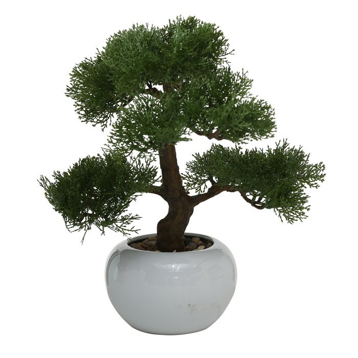 Boltze kunsttaim Bonsai цена и информация | Sisustuselemendid | hansapost.ee