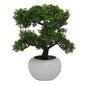 Boltze kunsttaim Bonsai цена и информация | Sisustuselemendid | hansapost.ee