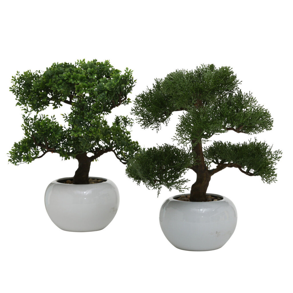 Boltze kunsttaim Bonsai цена и информация | Sisustuselemendid | hansapost.ee