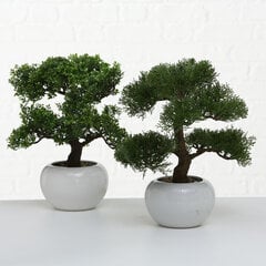 Boltze kunsttaim Bonsai цена и информация | Детали интерьера | hansapost.ee