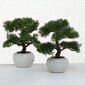 Boltze kunsttaim Bonsai цена и информация | Sisustuselemendid | hansapost.ee