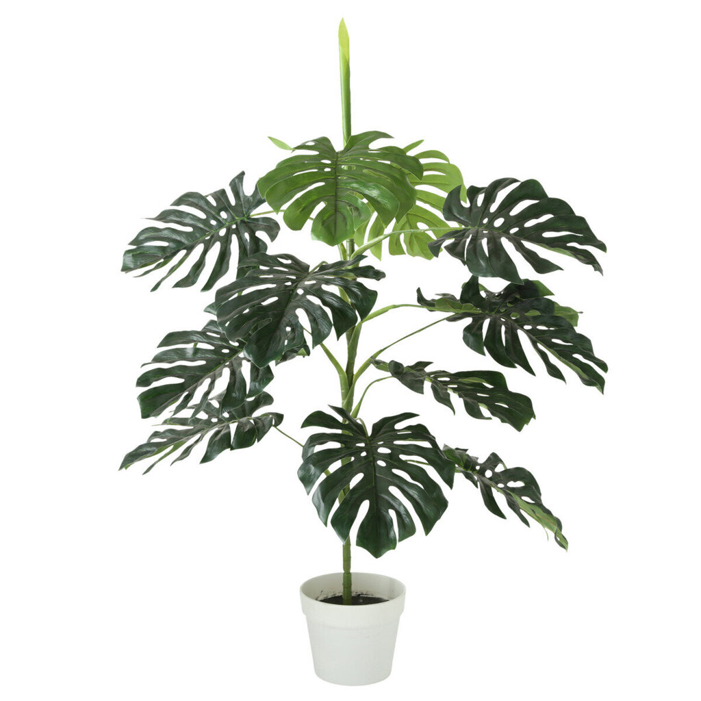 Boltze kunsttaim Monstera 110 cm цена и информация | Sisustuselemendid | hansapost.ee