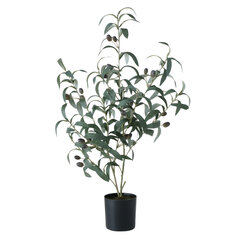 Boltze dekoratiivne oliivipuu 70 cm hind ja info | Sisustuselemendid | hansapost.ee