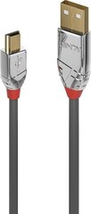 CABLE USB2 A TO MINI-B 3M/CROMO 36633 LINDY цена и информация | Кабели для телефонов | hansapost.ee