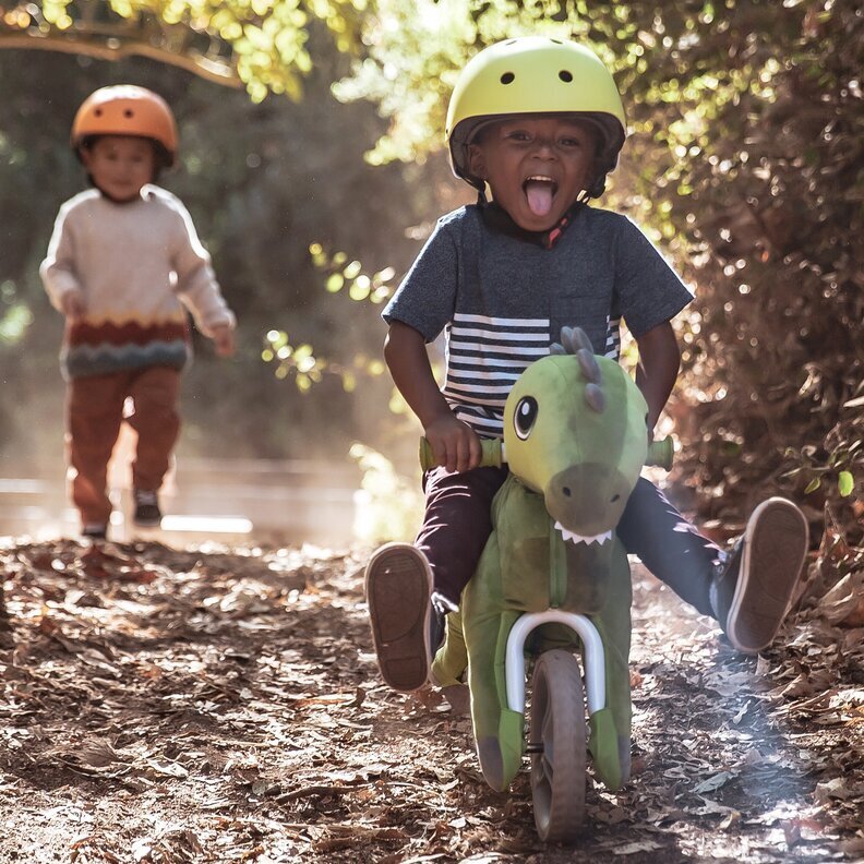 My buddy wheels hotsell dinosaur balance bike