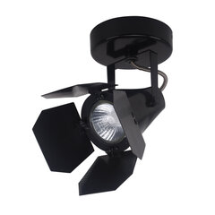 Потолочный светильник Italux Milton FH30921B цена и информация | Потолочные светильники | hansapost.ee