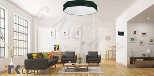 Потолочный светильник TK Lighting Kantoor 1081 цена и информация | Потолочные светильники | hansapost.ee