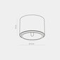 Laevalgusti TK Lighting Moris 3364 hind ja info | Laelambid | hansapost.ee