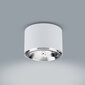 Laevalgusti TK Lighting Moris 3364 hind ja info | Laelambid | hansapost.ee