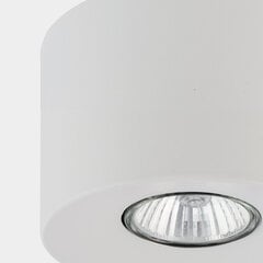Потолочный светильник TK Lighting Orion 3234 цена и информация | Потолочные светильники | hansapost.ee