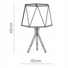 Настольная лампа TK Lighting Ivo 5157 цена и информация | Настольная лампа | hansapost.ee