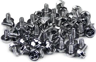 Kruvide komplekt Startech SCREW6_32 hind ja info | Korpuste lisatarvikud | hansapost.ee