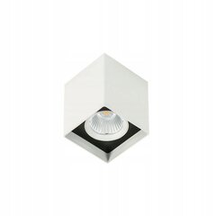 Потолочный светильник Italux Alden SLC78002/12W цена и информация | Потолочные светильники | hansapost.ee
