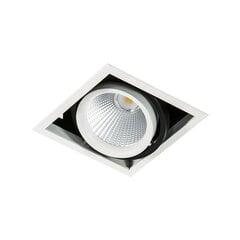 Потолочный светильник Italux Vertico 82389902 цена и информация | Потолочные светильники | hansapost.ee