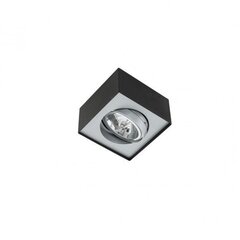 Потолочный светильник Italux Lauren FH30531S цена и информация | Потолочные светильники | hansapost.ee