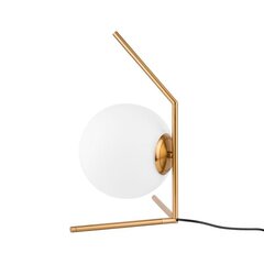 Настольная лампа Italux Mondo MTE2104/1 цена и информация | Настольные лампы | hansapost.ee