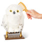 Harry Potteri öökull Harry Potter Hedwig, 30 cm цена и информация | Mänguasjad tüdrukutele | hansapost.ee