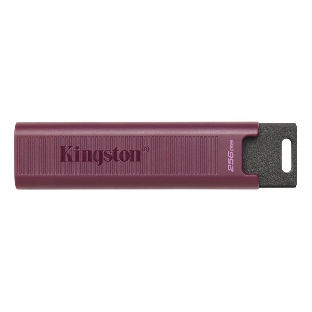 Kingston DTMAXA/256GB 256 GB hind ja info | Mälupulgad | hansapost.ee