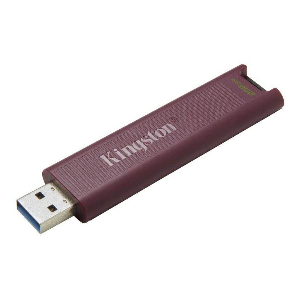 Kingston DTMAXA/256GB 256 GB цена и информация | Mälupulgad | hansapost.ee