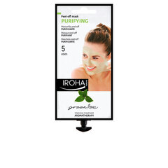 Очищающая маска для лица Iroha Relax, с зеленым чаем и листьями гинкго, 25 мл цена и информация | Iroha Уход за волосами | hansapost.ee