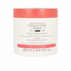 Puhastav ja taastav mask Christophe Robin Elujõudu andev hooldus (250 ml) price and information | Hair masks, oils and serums | hansapost.ee