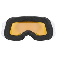 Горнолыжные очки Uvex Elemnt LGL S1, белые цена и информация | Uvex Зимний спорт | hansapost.ee