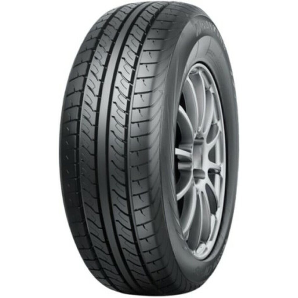 Nankang CW-20 PASSIO 205/65R15C hind ja info | Suverehvid | hansapost.ee