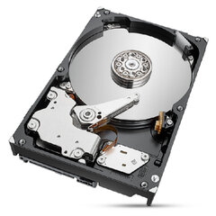 Seagate ST2000NT001 цена и информация | Внутренние жёсткие диски (HDD, SSD, Hybrid) | hansapost.ee