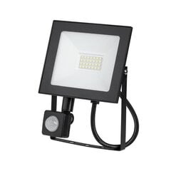 LED prožektor Rebel 20W hind ja info | Taskulambid, pealambid ja prožektorid | hansapost.ee