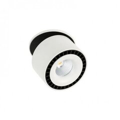 Süvistatav aktsentvalgusti Italux Sevilla SL7560/28W hind ja info | Süvistatavad LED valgustid | hansapost.ee