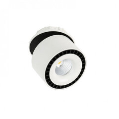Süvistatav aktsentvalgusti Italux Sevilla SL7560/28W hind ja info | Süvistatavad LED valgustid | hansapost.ee