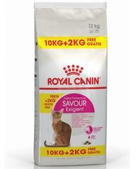 SOODUS! Royal Canin Cat Exigent 35/30 Savour Sensation 10 kg + 2 kg KINGITUSEKS! hind ja info | Kassi kuivtoit ja kassikrõbinad | hansapost.ee