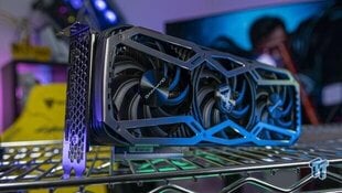 Gainward GeForce RTX 3070 Phoenix 8GB цена и информация | Видеокарты | hansapost.ee