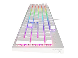 GENESIS THOR 303 RGB проводная белая механическая клавиатура | Outemu Brown цена и информация | Клавиатуры | hansapost.ee