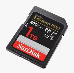 MEMORY SDXC 1TB UHS-I/SDSDXXD-1T00-GN4IN SANDISK цена и информация | Карты памяти | hansapost.ee