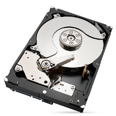 Seagate ST4000NT001 hind ja info | Sisemised kõvakettad | hansapost.ee