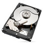 Seagate ST4000NT001 цена и информация | Sisemised kõvakettad | hansapost.ee