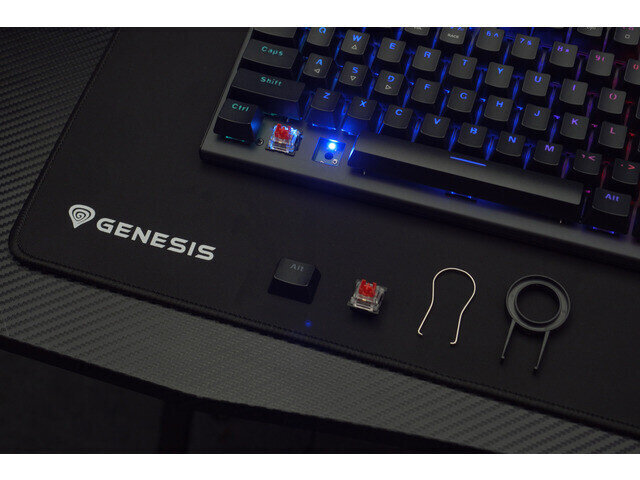 Genesis THOR 303 TKL hind ja info | Klaviatuurid | hansapost.ee