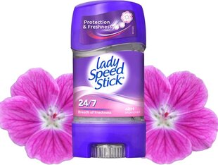 Higistamisvastane geel Lady Speed Stick Breath of Freshness 65g hind ja info | Deodorandid | hansapost.ee