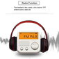 iWear BITSi mürasummutav kokkupandav Bluetooth 5.0 juhtmevaba peakomplekt FM-raadio / MP3 Mico SD ja telefonikõne valge цена и информация | Kõrvaklapid | hansapost.ee