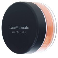 Минеральная пудра для лица BareMinerals Tinted Mineral Veil 41547627301, 9 г цена и информация | Пудры, базы под макияж | hansapost.ee