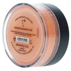 Mineraalne näopuuder BareMinerals Tinted Mineral Veil 41547627301, 9 g цена и информация | Пудры, базы под макияж | hansapost.ee