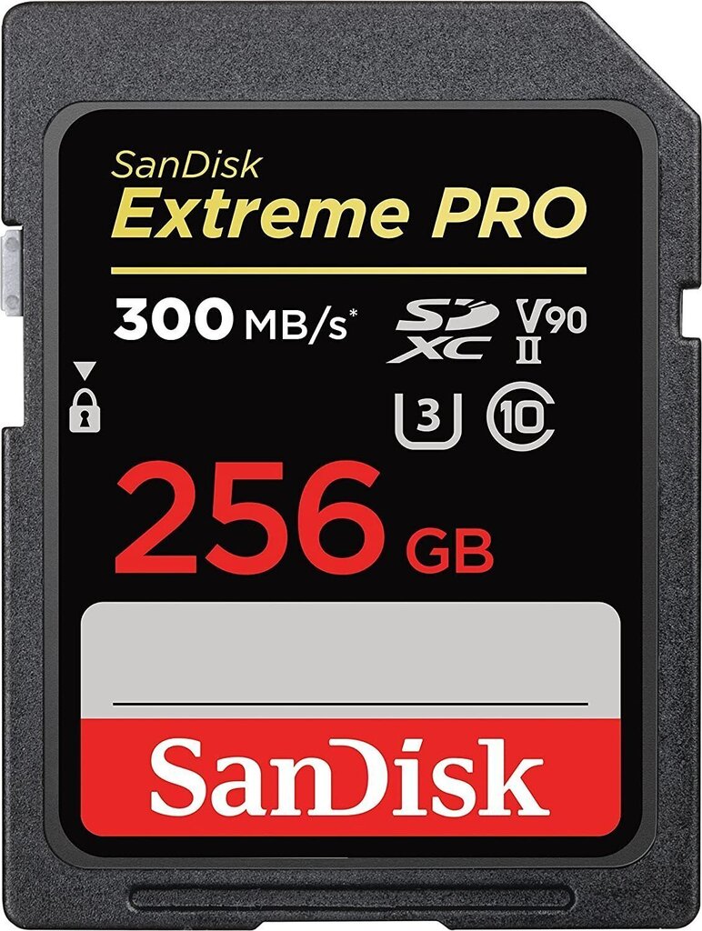 MEMORY SDXC 256GB UHS-II/SDSDXDK-256G-GN4IN SANDISK цена и информация | Mälukaardid mobiiltelefonidele | hansapost.ee