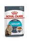 Märgtoit kassidele Royal Canin Fcn Wet 85gx12 Urinary Care In Gravy hind ja info | Kassikonservid | hansapost.ee