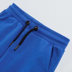 Cool Club спортивные штаны для мальчиков, CCB2512468 цена и информация | Штаны для мальчиков | hansapost.ee