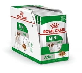 Royal Canin Karma ROYAL CANIN SHN Mini Adult w sosie 12X85G цена и информация | Консервы для собак | hansapost.ee