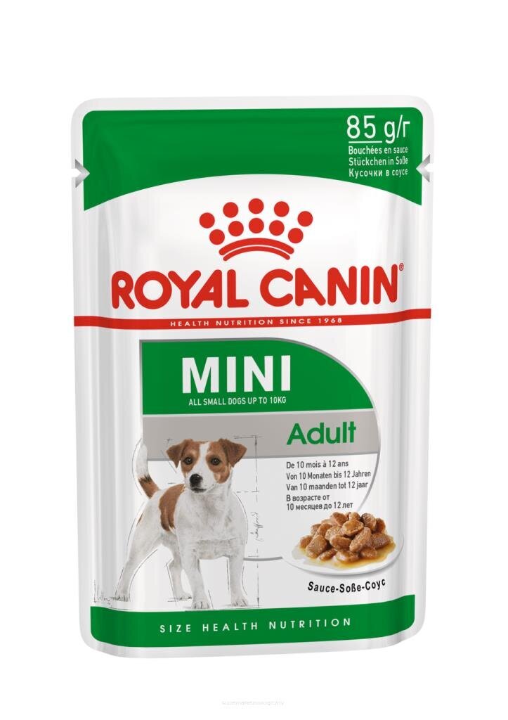 Royal Canin Karma ROYAL CANIN SHN Mini Adult w sosie 12X85G цена и информация | Koerakonservid | hansapost.ee