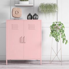 Шкафчик Novogratz Cache, розовый цвет цена и информация | Шкафчики в гостиную | hansapost.ee
