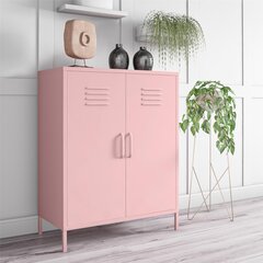 Шкафчик Novogratz Cache, розовый цвет цена и информация | Шкафчики в гостиную | hansapost.ee